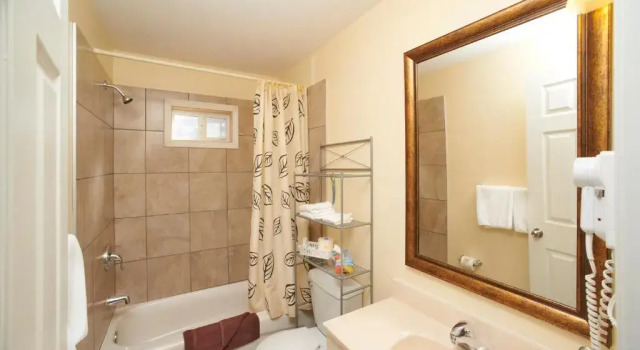Четырёхместный номер Standard Black Sea Motel
