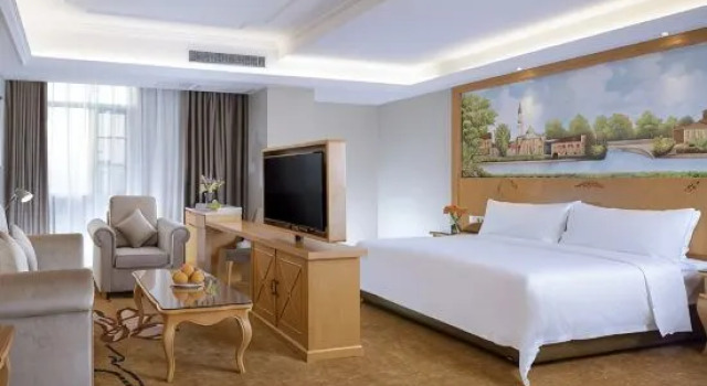 Люкс Deluxe Vienna International Hotel Guangzhou Zengcheng Dev
