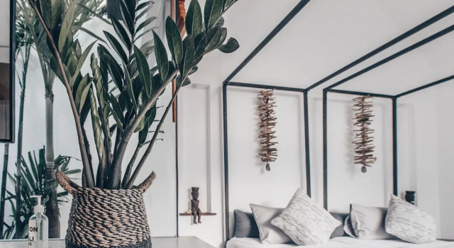 Номер Deluxe Beyond Bungalows