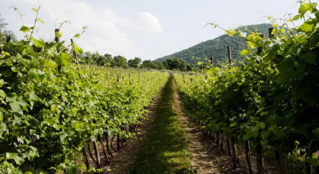 Апартаменты с видом на горы agriturismo villa marani