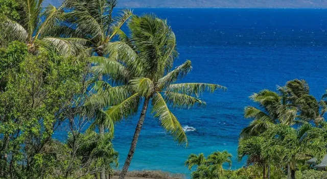 Номер Standard Kapalua Ridge Villas-#2212 2 Bedroom Condo