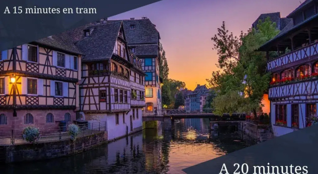 Апартаменты L'Académie - GOLDEN TREE - Parking Privé & Wifi - 5 min centre ville de Strasbourg