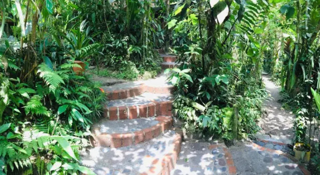 Номер Economy Cabañas Armonía y Jardín de Orquídeas