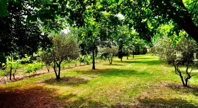 Коттедж с 2 комнатами Domaine Plan des Devens