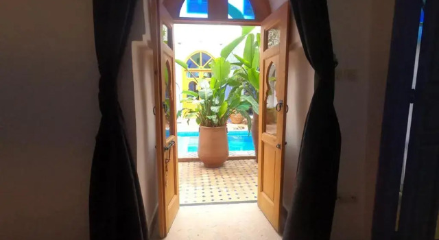 Camera Standard Riad Chameleon