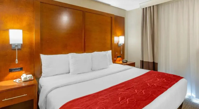 Люкс c 1 комнатой Comfort Suites Oakbrook Terrace - Chicago West