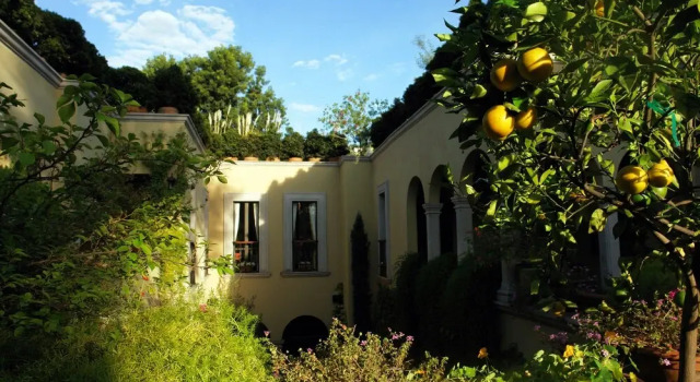 Casa Misha