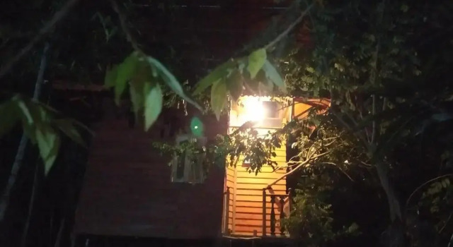 Tree House-Midigama
