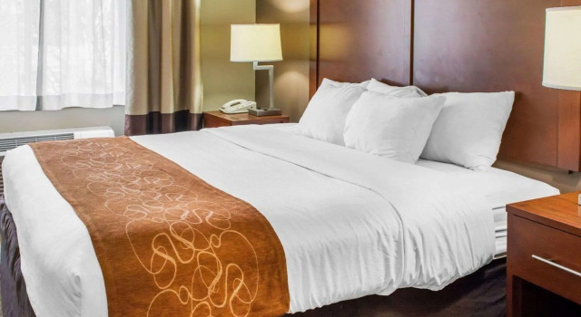 Люкс c 1 комнатой Quality Suites Waldorf