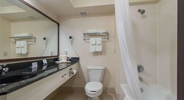 Люкс Quality Inn & Suites West Chase