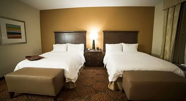Двухместный люкс Hampton Inn & Suites - Hartsville, SC