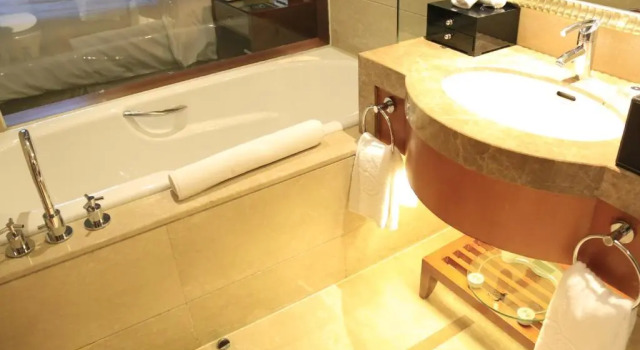 Двухместный номер Superior с видом на парк Sofitel Harbin