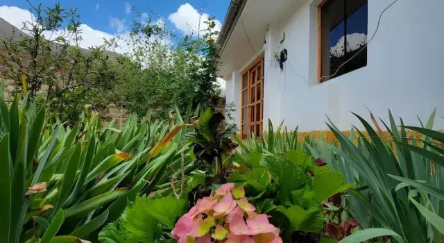 Номер Superior Schatzi Lodge
