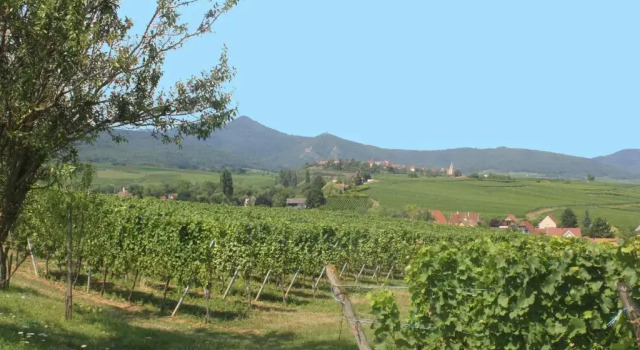 Gite des 5 cigognes rouge, Забронировать Отель Отели Alsace Wine Route с парковкой, Парковка