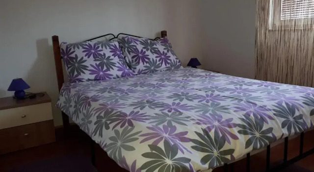 Апартаменты c 1 комнатой с балконом Apartments Vidaković