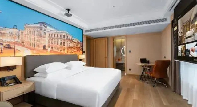 Люкс Deluxe Vienna International Hotel Haiyan Baibu Avenue Branch
