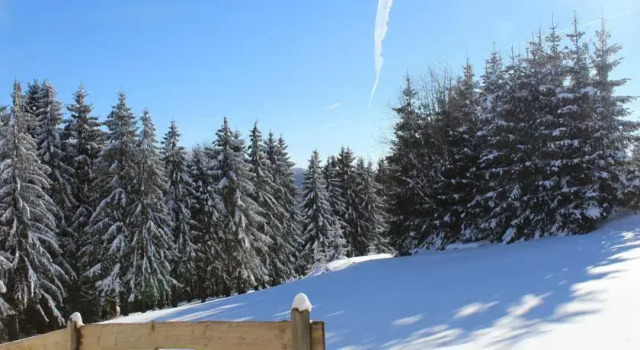 Ferienwohnung Braun, Book Apartment Hotels in Thuringian Forest with Parking, Parking