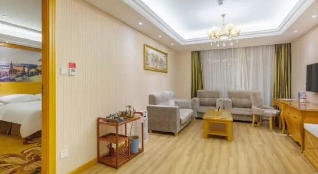 Suite doppia Deluxe con vista sulla strada Vienna Hotel