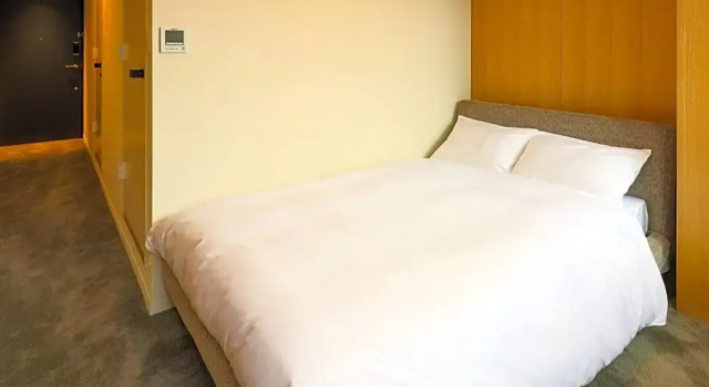 Номер Standard Hotel Muso