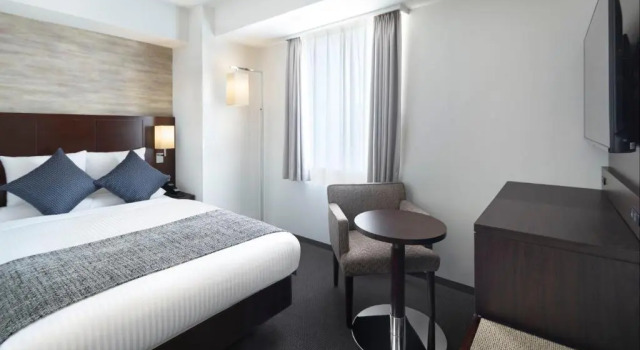 Двухместный номер Standard ART HOTEL Nippori Lungwood