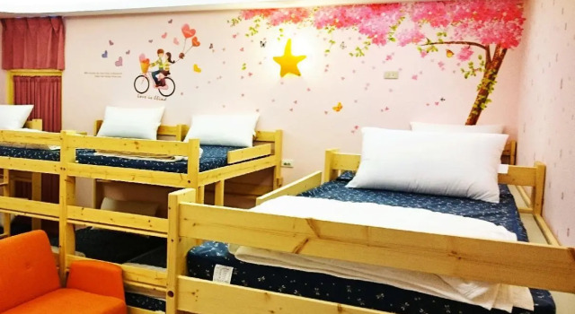 Кровать в общем номере (женский номер) Chalucet Castle Hostel