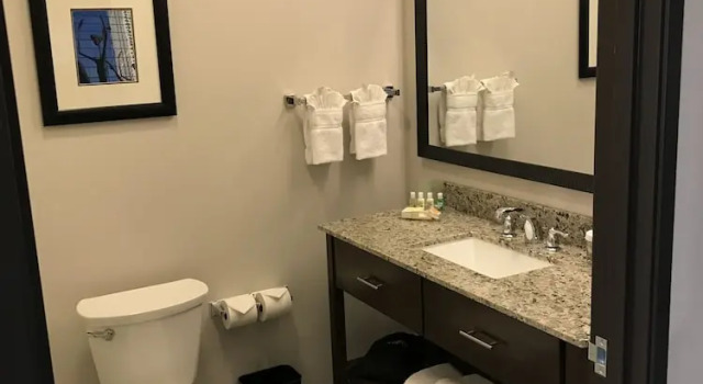 Двухместный люкс Holiday Inn & Suites Denver Tech Center-Centennial by IHG