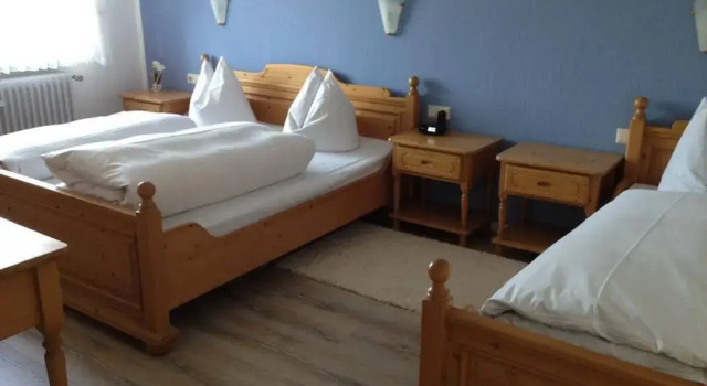 Hotel und Restaurant -Gasthaus Zur Pfalz, Reserva ahora Hotel Hockenheim Baden-Wurtemberg