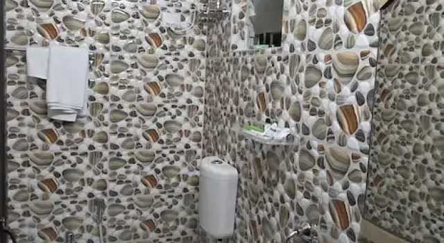 Номер Deluxe HOTELLEOS