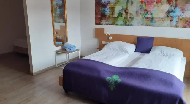 Семейный люкс Schlosshotel Rosenegg