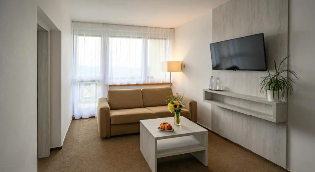 Люкс Hotel Vega Luhacovice