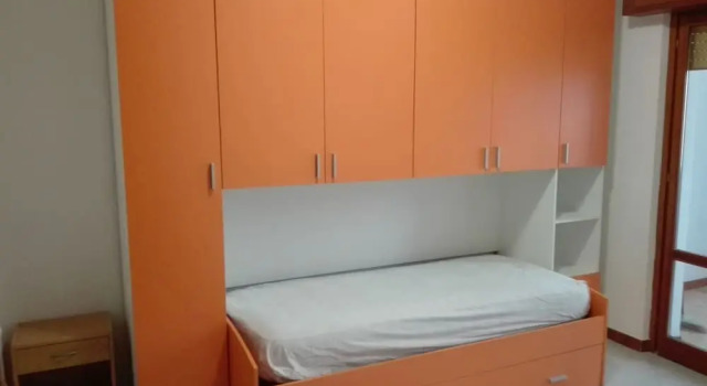 Standard Zimmer Deltamartini