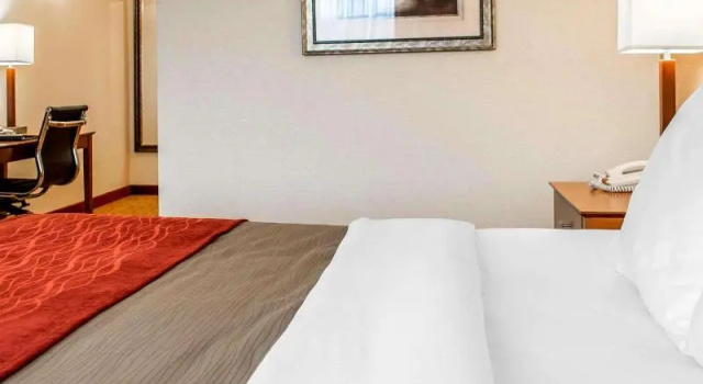 Люкс Comfort Inn & Suites Franklin East