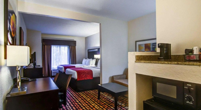 Четырёхместный люкс Comfort Suites Northside Hospital Gwinnett