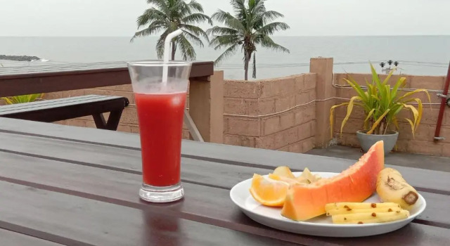 Двухместный номер Deluxe с видом на море Ayurvedic Beach Resort