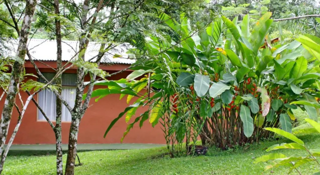 Семейный номер Standard с видом на сад Cabañas Green House