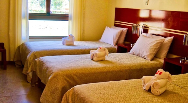Номер Standard Sol Natura Hotel