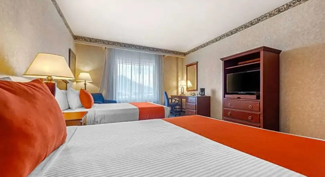Номер Standard Quality Inn Monterrey La Fe