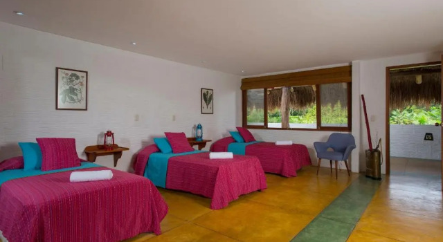 Standard quadruple chambre Vue jardin Hotel Cinaruco Caney