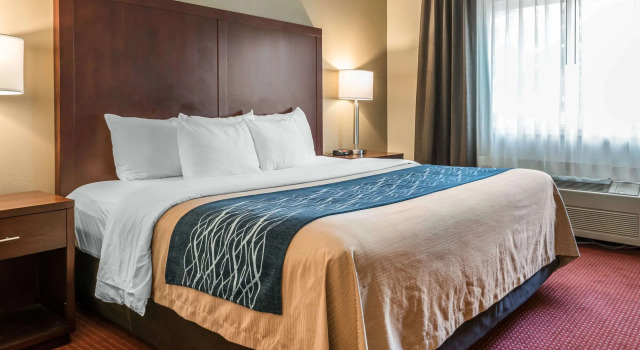 Comfort Inn Lacey, Varaa Hotelli  