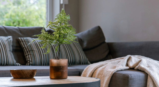 Guesthouse in the Heart of the Flemish Ardennes