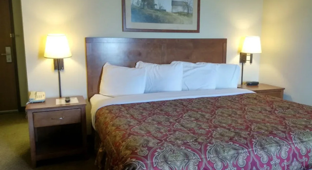 Номер Executive Madelia Hotel & Suites
