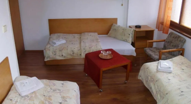 Трёхместный номер Standard Hotel Slovan