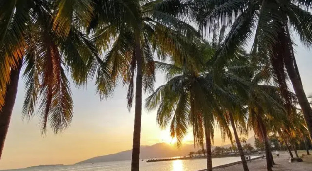 Трёхместный номер Deluxe с видом на море Subic Bay View Diamond Hotel