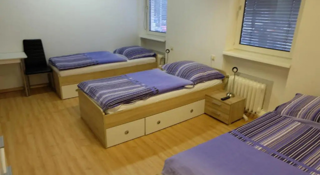 Трёхместный номер Economy Montagehotel Bed & Steel