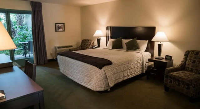 Номер Deluxe Lemon Tree Inn
