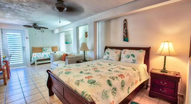 Двухместная студия Coconut Palms Rincon