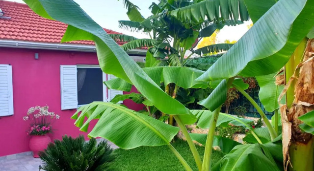 Коттедж с 2 комнатами Aloe house Lakithra