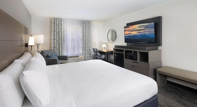Двухместный номер Standard La Quinta Inn & Suites by Wyndham Downtown Asheville
