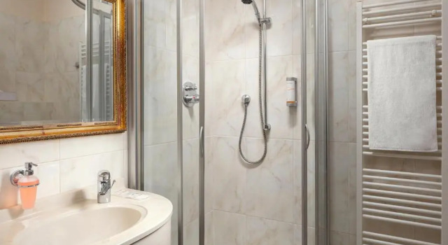 Номер Deluxe Humboldt Park Hotel & Spa