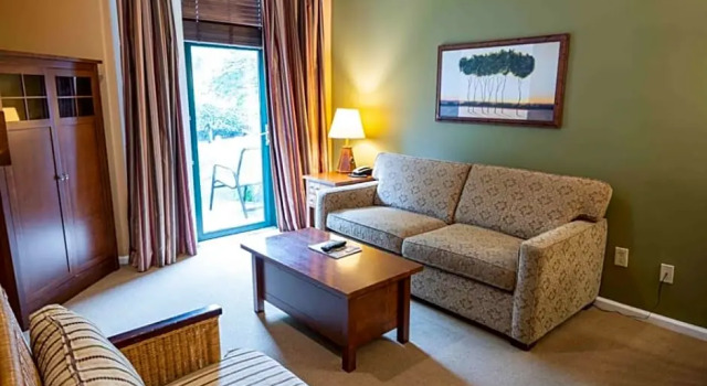 Полулюкс Standard The Appalachian at Mountain Creek